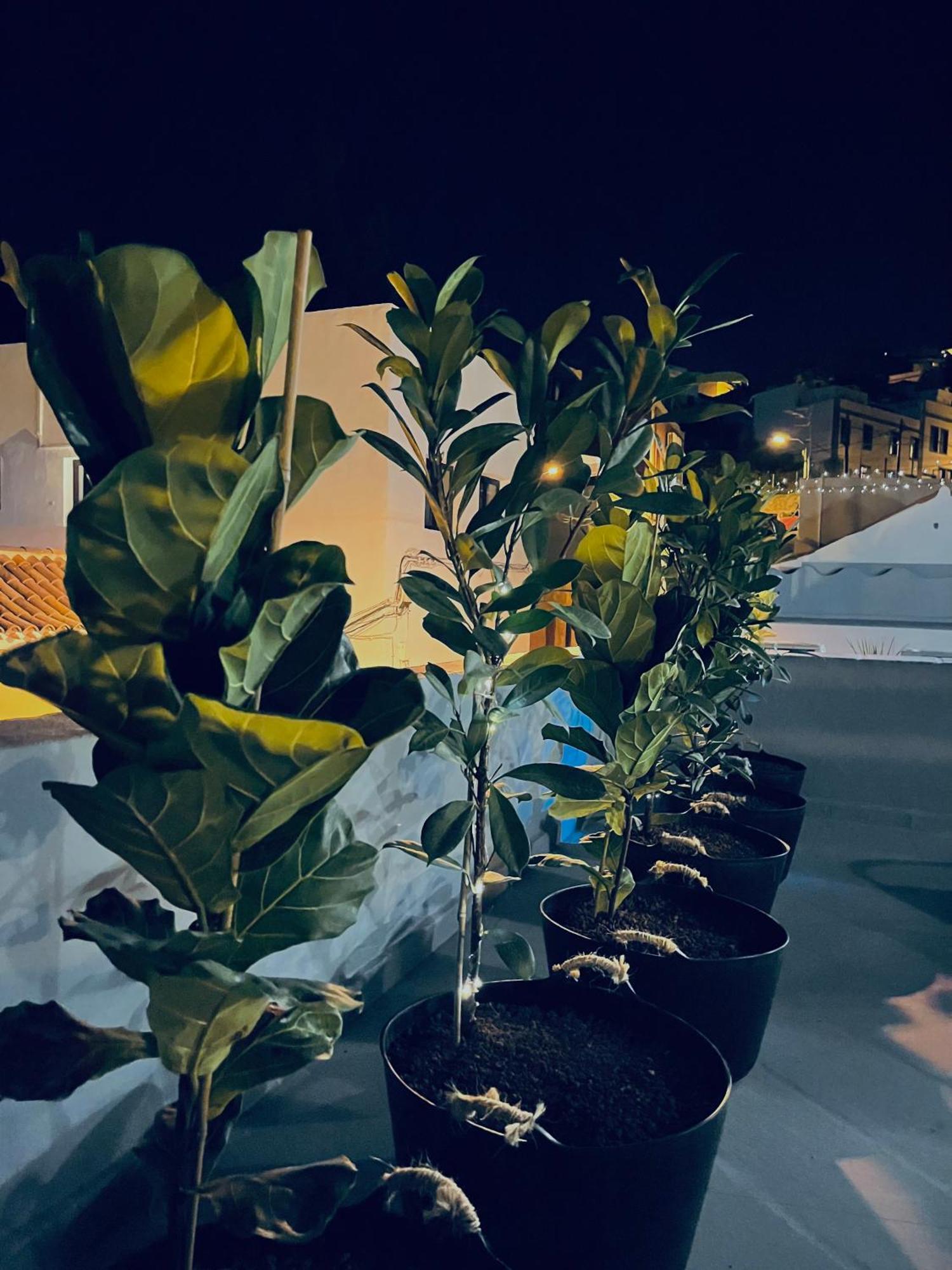 Plaza De La Fuente Granadilla De Abona Tenerife Sur Only Adults Con Terraza Privada المظهر الخارجي الصورة
